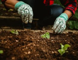 Wanneer is tuinrenovatie een goede keuze en hoe pak je het aan?
